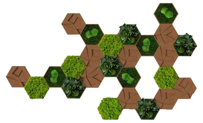 Best of GREEN Kork-Hexagon Set mit 25 Grün, Braun