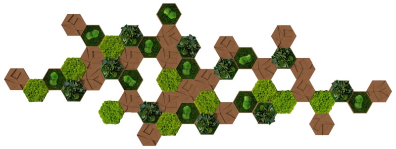 Best of GREEN Kork-Hexagon Set mit 50 Grün, Braun