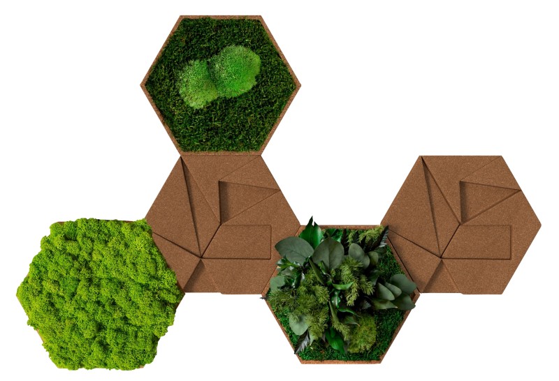 Best of GREEN Kork-Hexagon Set mit 5 Grün, Braun