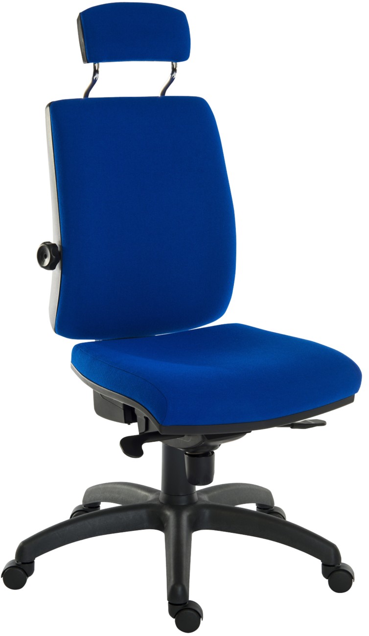 Teknik Ergo Plus Ergonomic Chair Blue 155 Kg 510 Mm
