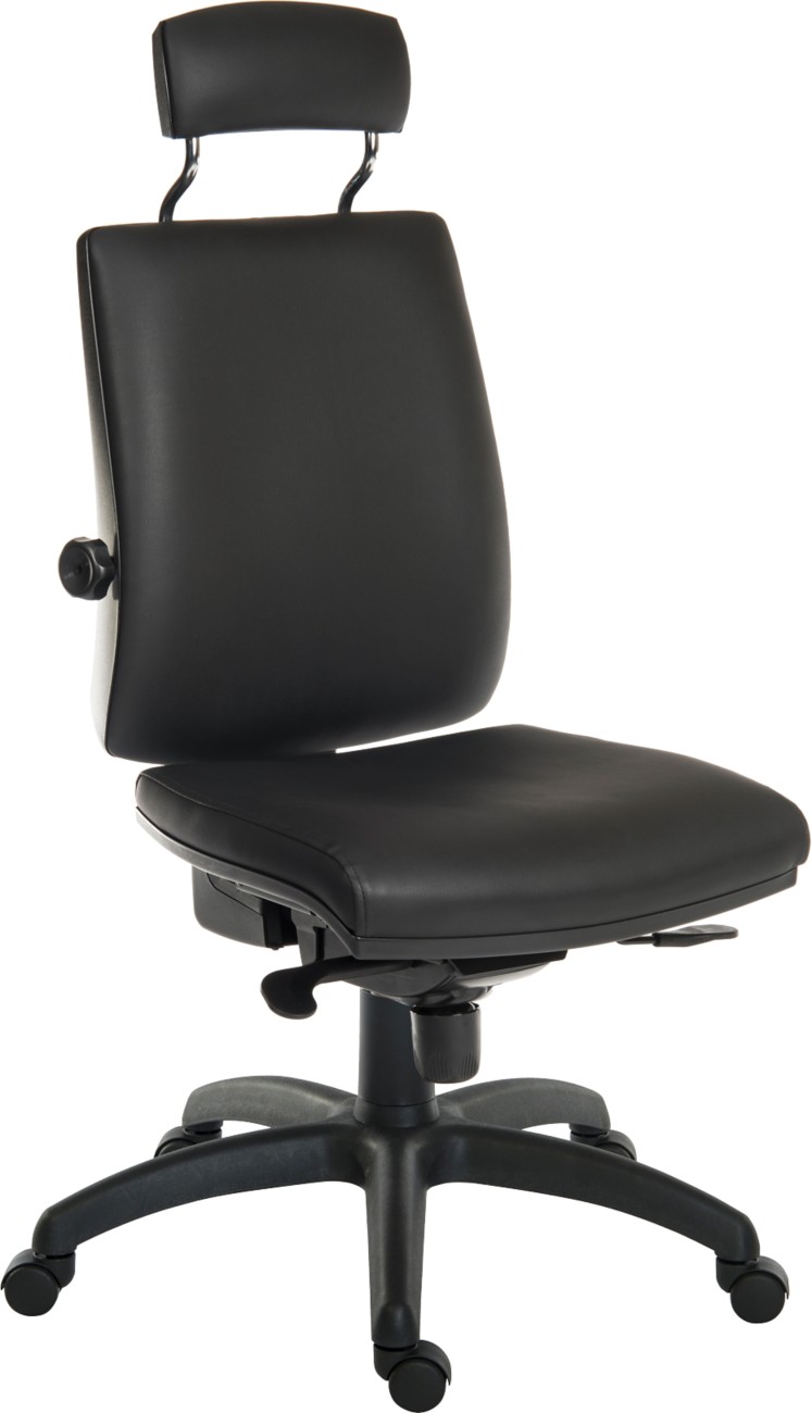Teknik Ergo Plus Ergonomic Chair Black 155 Kg 510 Mm