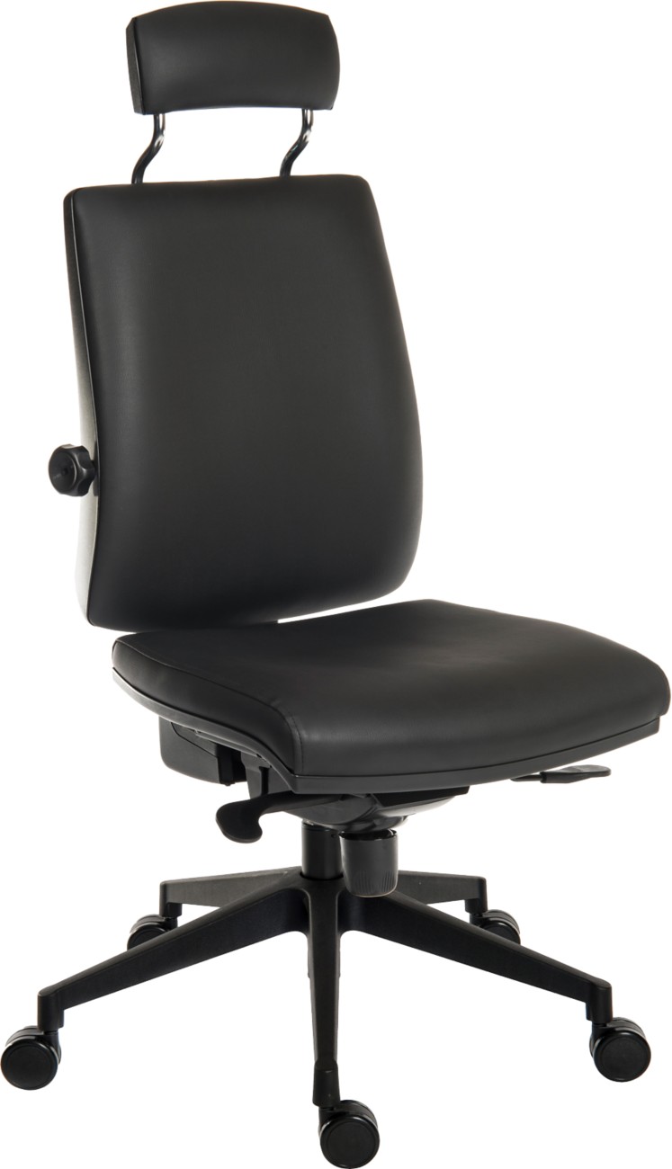 Teknik Ergo Plus Ultra Ergonomic Chair Black 155 Kg 510 Mm