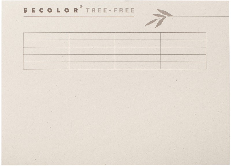 Djois Tree-Free Aktendeckel DIN A4 Creme Karton Recycled 226 mm 225 g/m² 10 Stück
