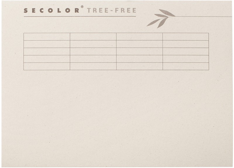 Djois Tree-Free Organisationsmappe 3863111 DIN A4 PaperWise-Karton 310 x 225 mm Creme 10 Stück