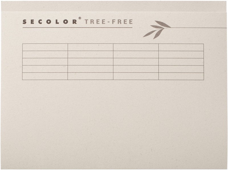 Djois Secolor Tree-Free Aktendeckel Folio Creme Karton 100% Recycelt 226 mm 225 g/m² 10 Stück