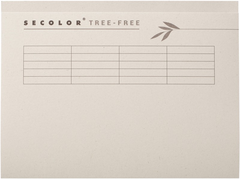 Djois Secolor Tree-Free Aktendeckel Folio Creme Karton 100% Recyclet 226 mm 225 g/m² 10 Stück