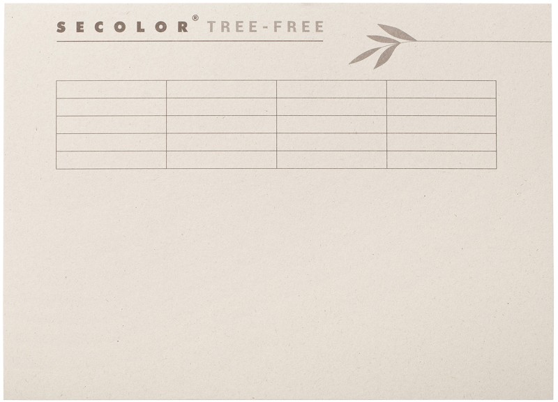 Djois Secolor Tree-Free Aktendeckel Folio Creme Karton 100% Recyclet 226 mm 225 g/m² 10 Stück