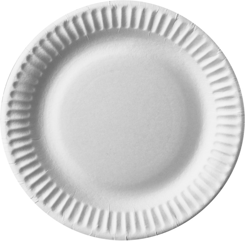 PAPSTAR Pure Einwegteller Pappe 190 mm Weiß 100 Stück