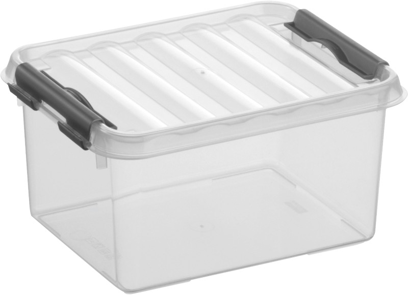 Sunware Aufbewahrungsbox H6162402 2 L Transparent Polypropylen 20 x 15 x 10 cm 6 Stück