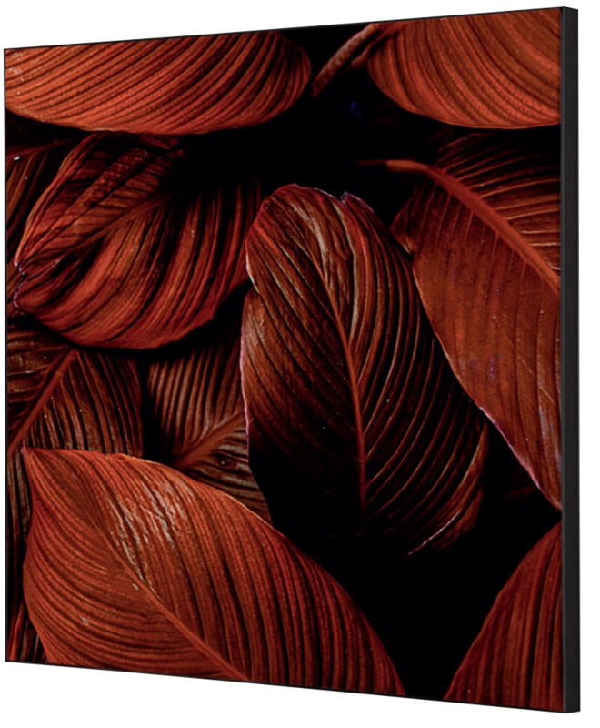 Thumbnail - SHOWDOWN Textile Wanddekoration Botanische Blätter Mehrfarbig Aluminium