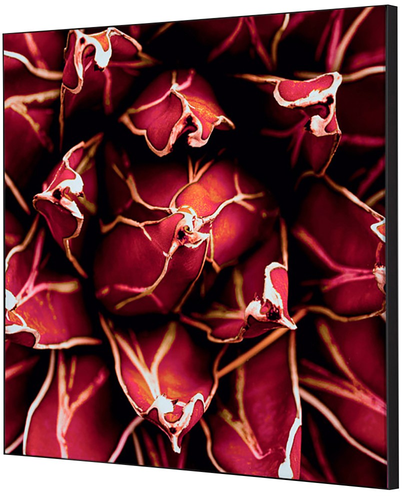 SHOWDOWN Textile Wanddekoration Kaktus Mehrfarbig Aluminium