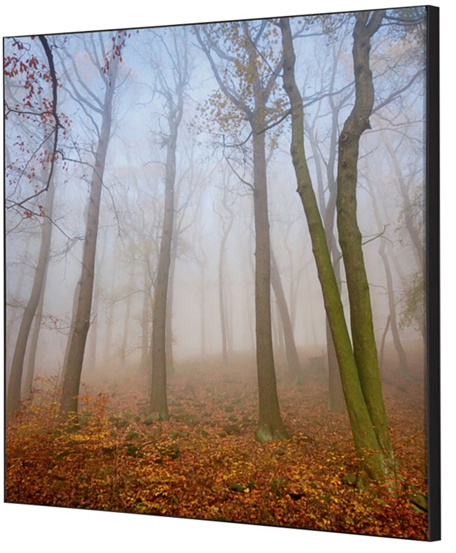 Thumbnail - SHOWDOWN Textile Wanddekoration Herbstnebel Mehrfarbig Aluminium