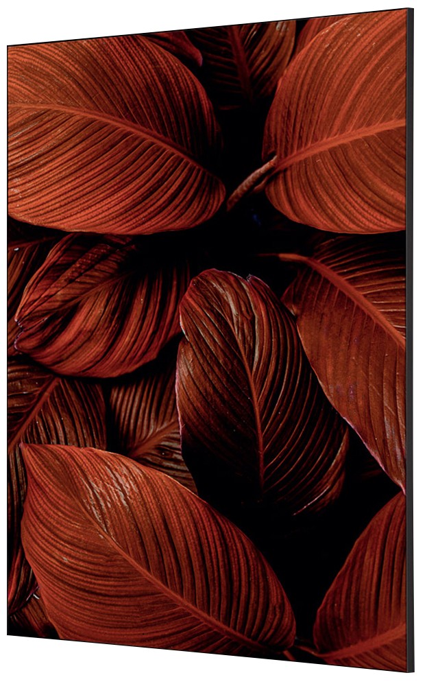 SHOWDOWN Textile Wanddekoration Botanische Blätter Mehrfarbig Aluminium