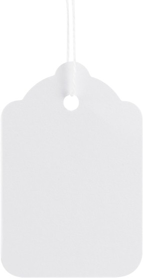 Paper Tags 22 x 32 mm White 4E230BX Pack of 1000