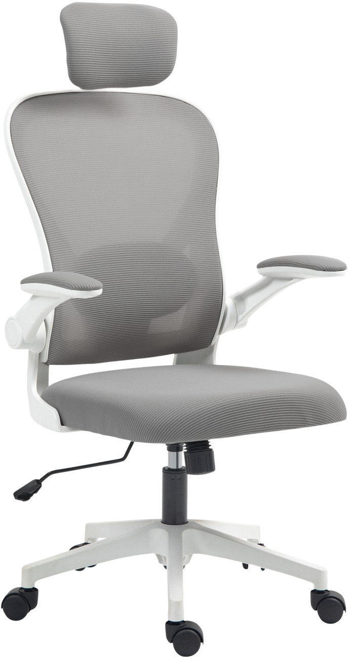 Homcom Office Chair Basic Tilt Fixed Armrest Grey 120 Kg 921-796V70gy 580 X 630 X 1,250 Mm