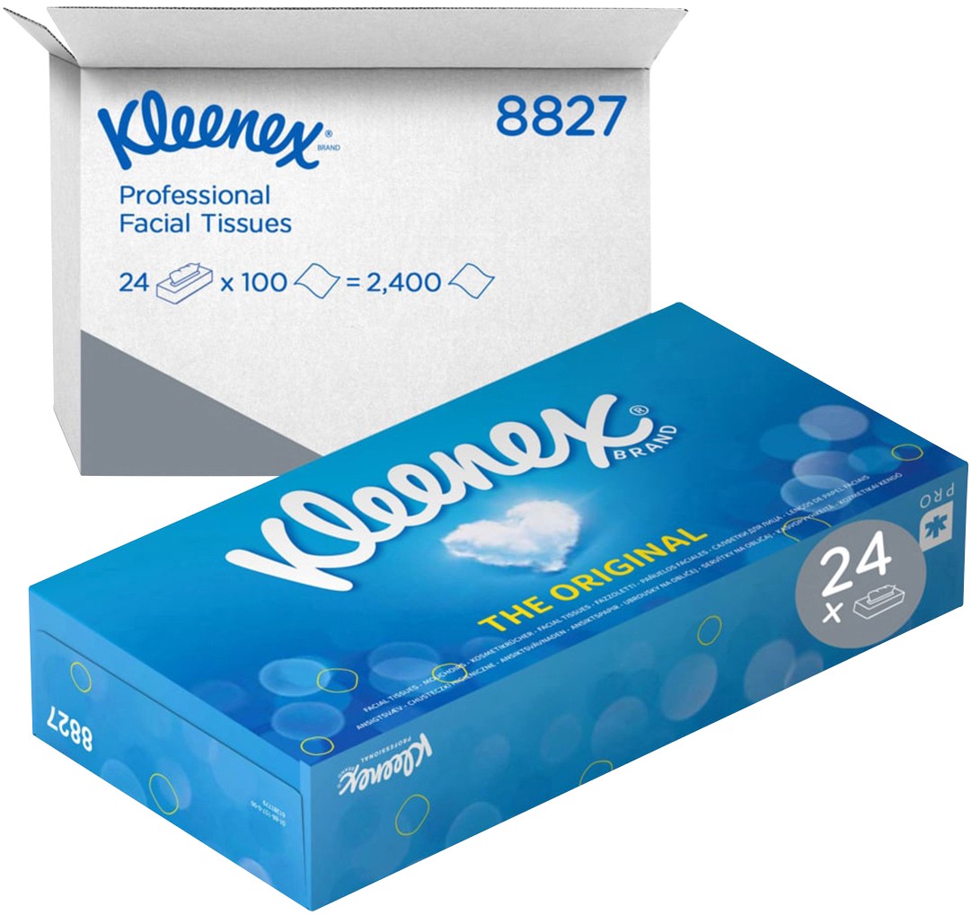 Kleenex Facial Tissues 2 Ply 8827 Pack Of 100