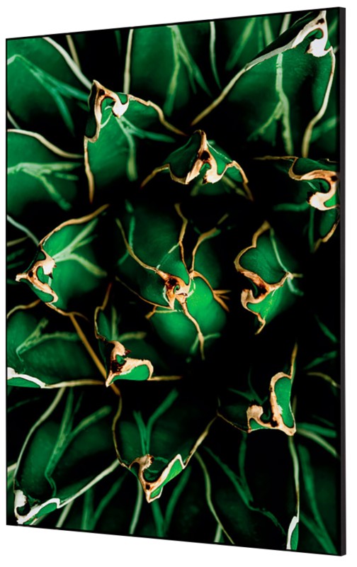 Thumbnail - SHOWDOWN Textile Wanddekoration Kaktus Mehrfarbig Aluminium