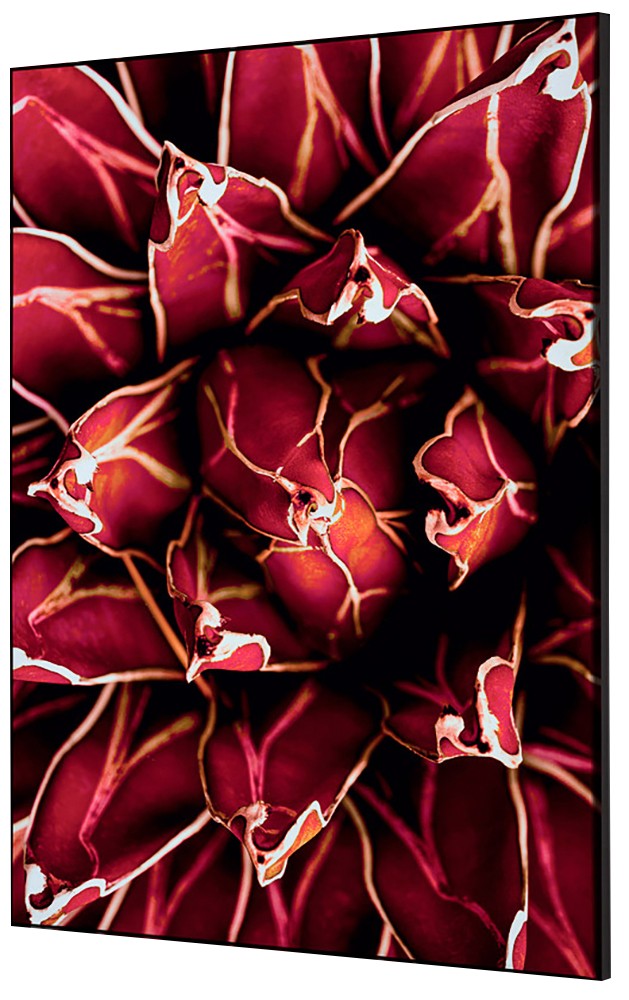 SHOWDOWN Textile Wanddekoration Kaktus Mehrfarbig Aluminium