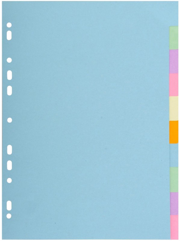 Exacompta Forever Blanko-Register Farbig sortiert 10 Stück 170 g/m² Karton 2610E