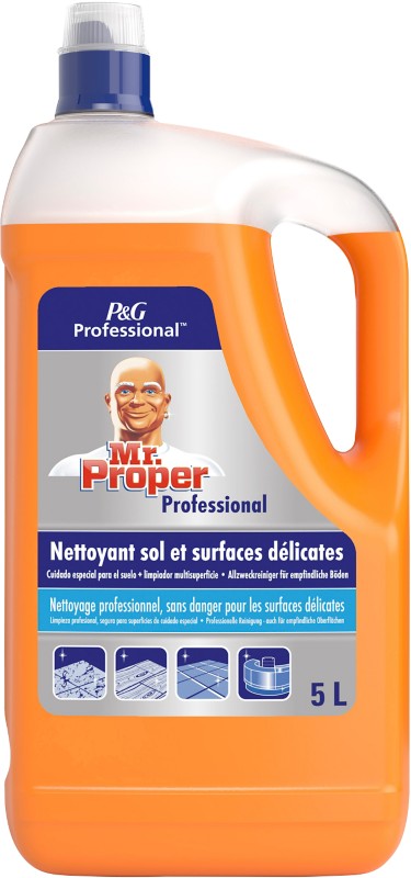 Mr. Proper PROFESSIONAL Bodenreiniger flüssig 8001090471086