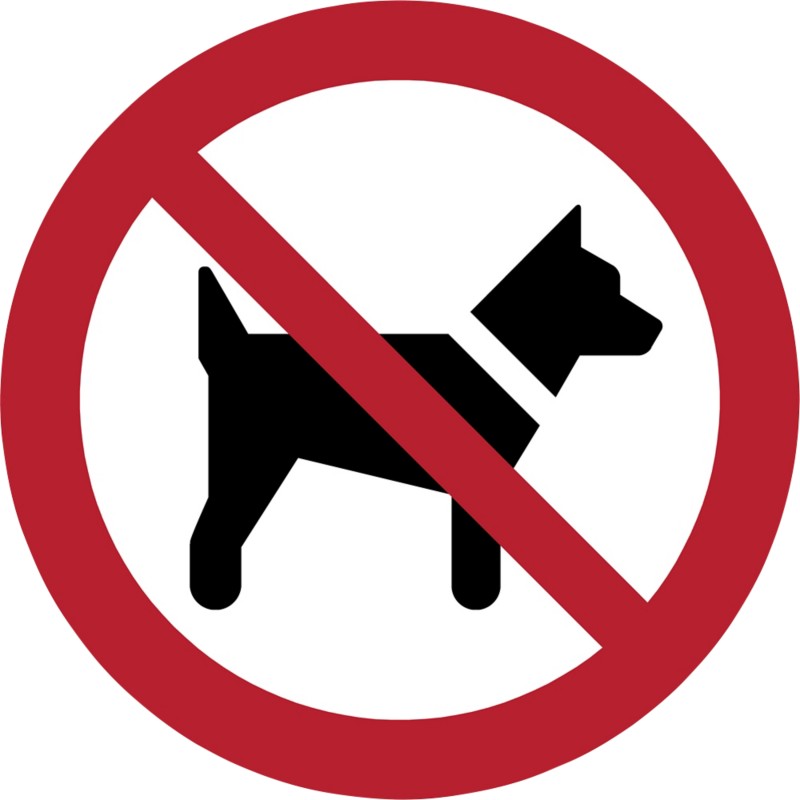 Djois Warnschild Das Mitführen von Hunden ist verboten Klebstoff, einschraubbar PP (Polypropylen) 10 (B) x 0,14 (H) cm 3...