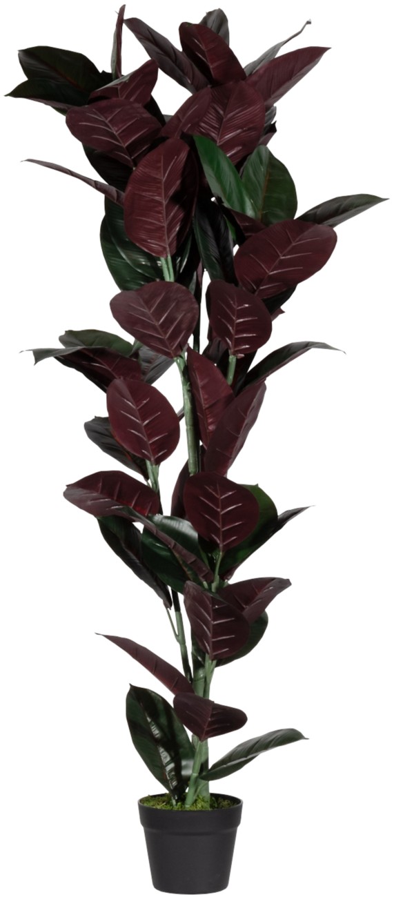 meet powered by PAPERFLOW Künstliche Pflanze Ficus Elastica 120 cm Grün