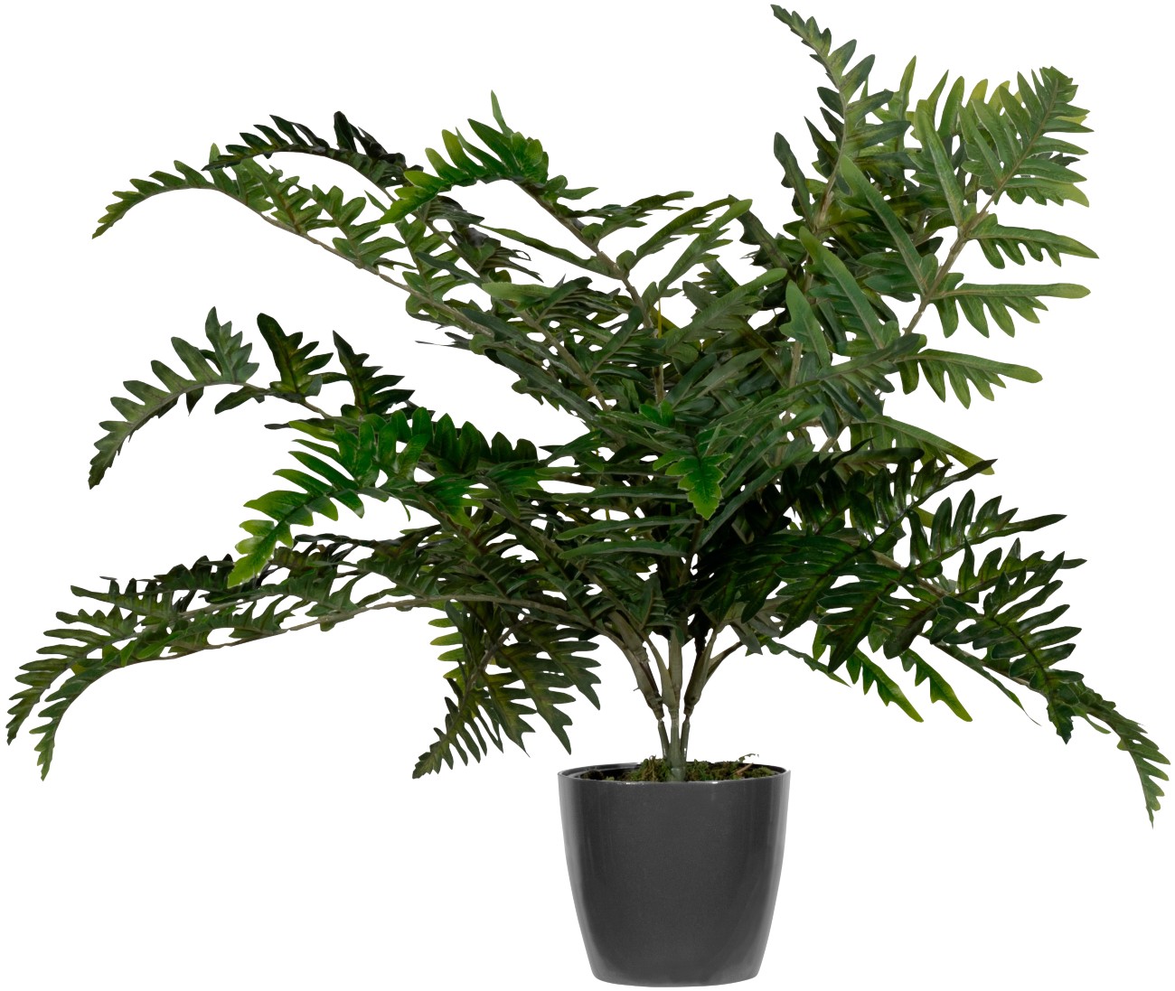 Thumbnail - meet powered by PAPERFLOW Künstliche Pflanze Farn 55 cm Grün