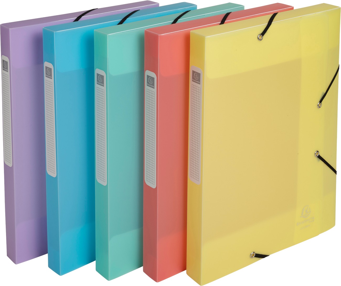 Exacompta Chromaline Pastel Filing Box 59170E A4 Pp (Polypropylene) Rubber Band 25 (W) X 2.5 (D) X 33 (H) Cm Assorted Colours 25 Mm Pack Of 8