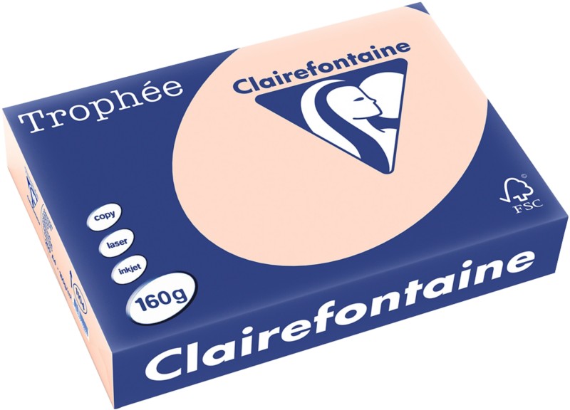 Clairefontaine DIN A4 Farbiges Papier Lachs 160 g/m² 250 Blatt