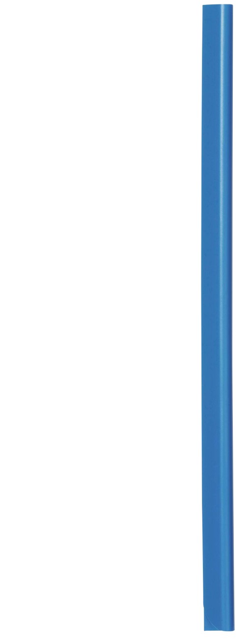 Durable Spine Bars 2931/06 A4 Blue Plastic 1.3 X 0.6 X 29.7 Cm Pack Of 50