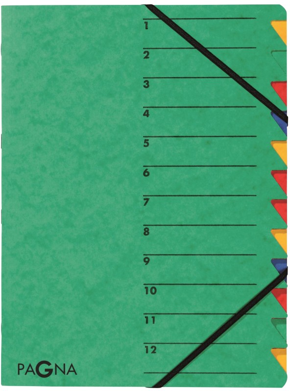 PAGNA Easy Ordnungsmappe 24131-03 DIN A4 Karton Gummiband 24 (B) x 0,5 (T) x 32 (H) cm Grün