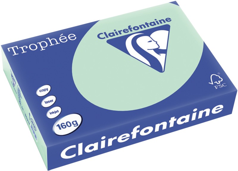 Clairefontaine DIN A4 Farbiges Papier Grün 160 g/m² Matt 250 Blatt