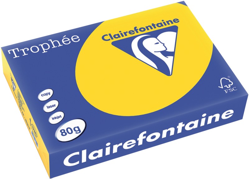 Clairefontaine DIN A4 Farbiges Papier Gold, Gelb 80 g/m² Matt 500 Blatt