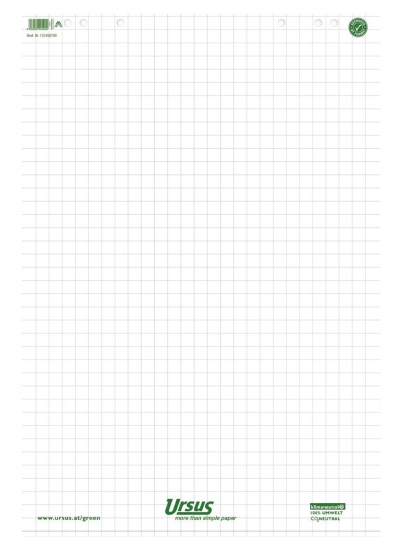 Ursus Green Flipchart-Papier Kariert 68 x 99 cm 80 g/m² 5 Stück à 20 Blatt