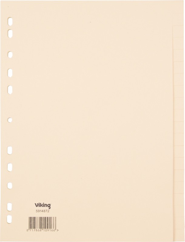 Viking Standard Blanko Register Recycelt 100% DIN A4 Kamelbraun 20-teilig Pappkarton Rechteckig 11 Löcher 20 Blatt