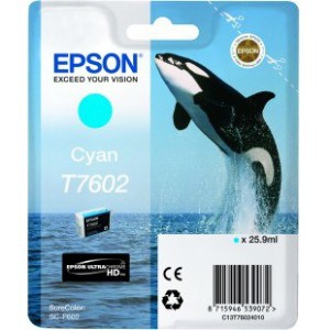 Deal Detail