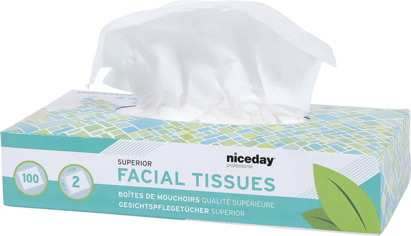 Niceday Professional Superior Kosmetiktücher 2-lagig 100 Blatt