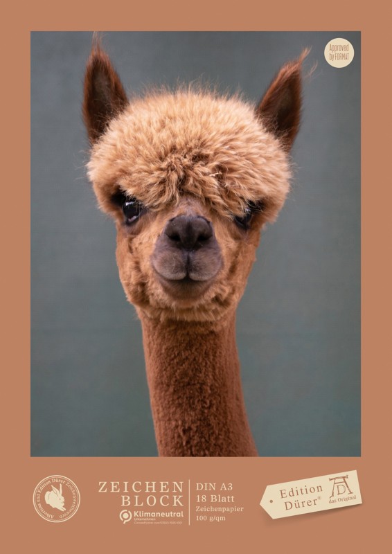 Visual Navigation image