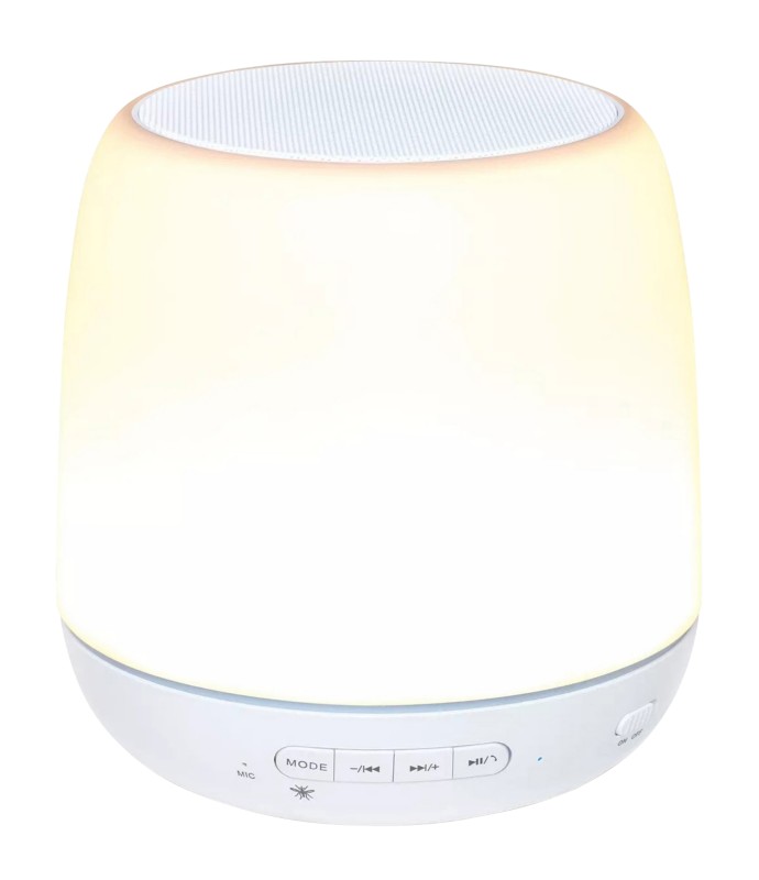 Enceinte Bluetooth d'extérieur