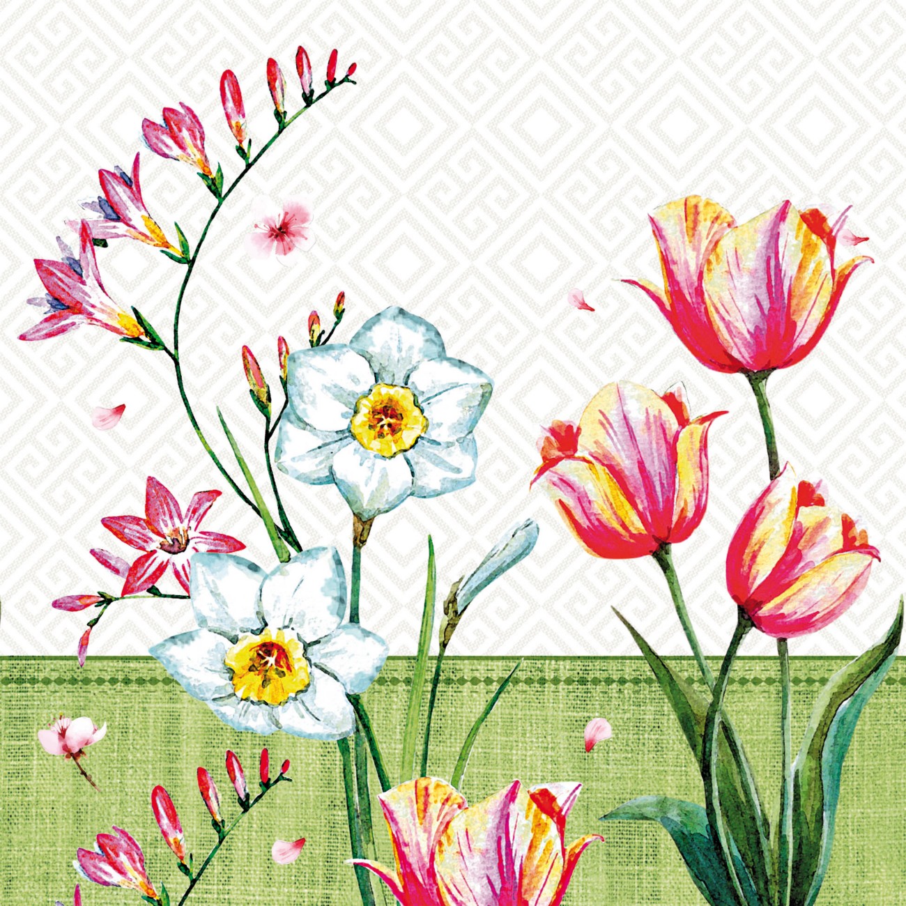 Product Spotlight image