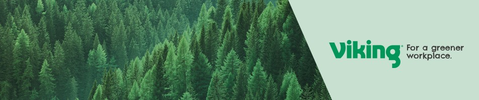 Viking Campaign Header