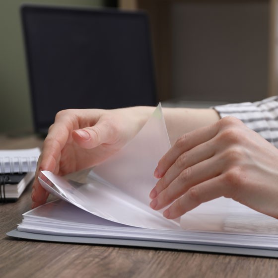 Viking lifestyle image