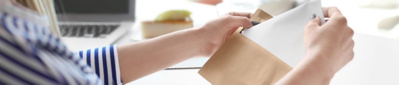 Viking Campaign Header