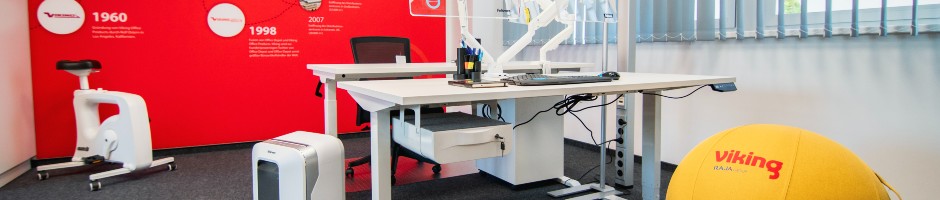 Viking Campaign Header