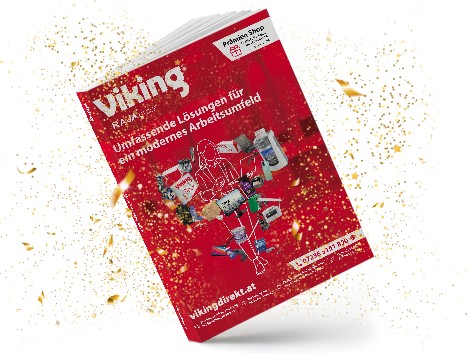 Viking lifestyle image