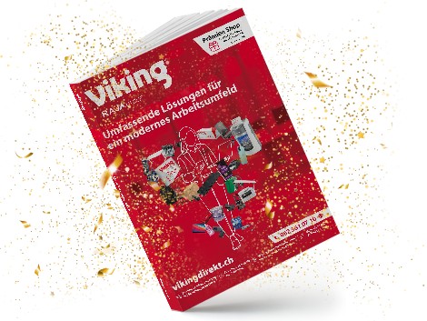 Viking lifestyle image