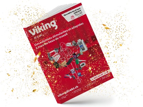 Viking lifestyle image