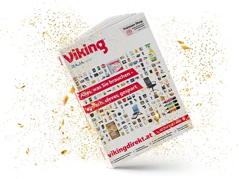 Viking lifestyle image