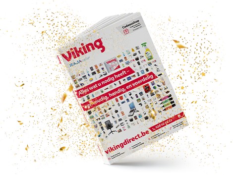 Viking lifestyle image