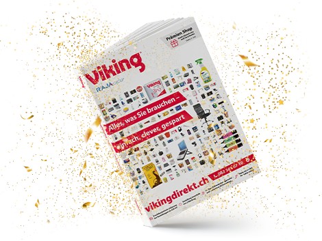 Viking lifestyle image